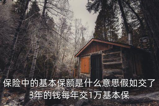 基本保額是什么意思，基本保險(xiǎn)金額是什么意思