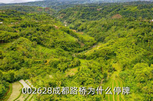 成都路橋今天什么情況，今天早成都等路橋的航班有沒(méi)有停航
