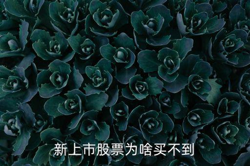 為什么新股我總買不到，新上市股票為啥買不到