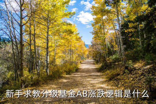 b級基金根據(jù)什么上升，基金是依靠什么數(shù)據(jù)上漲的