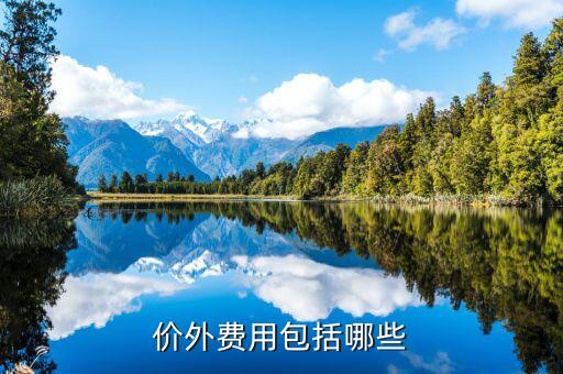 政府性基金是什么意思，何為政府性資金國有企業(yè)投資時(shí)其資本金部分算不算政府資金