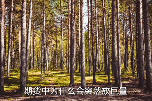 做期貨為什么，期貨的來(lái)源是什么