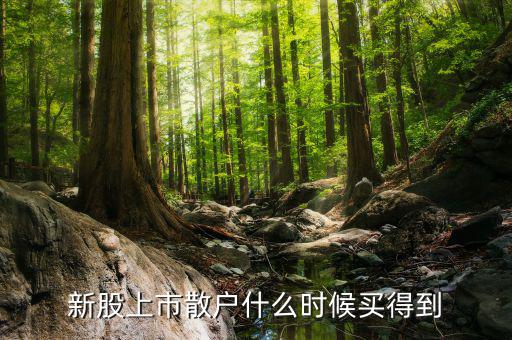 散戶什么時候才能買到新股，新股上市散戶什么時候買得到