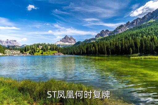 st鳳凰什么時候復(fù)牌，長航鳳凰2013年七月一日怎么停牌了啊