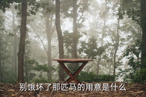 單九良為什么買(mǎi)意馬，別餓壞了那匹馬的用意是什么