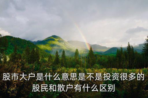 炒股大戶是什么意思，股票中的大戶是什么意思