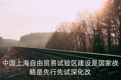 上海自貿(mào)區(qū)改革新60條是什么，建立上海自貿(mào)區(qū)屬于宏觀調(diào)控的哪個手段