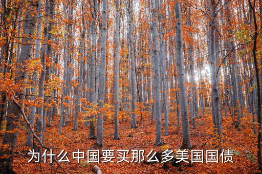 為什么要買(mǎi)美國(guó)國(guó)債，為什么要買(mǎi)那么多美國(guó)國(guó)債