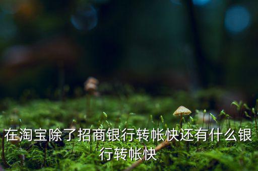什么銀行網(wǎng)上轉(zhuǎn)賬最慢，在淘寶除了招商銀行轉(zhuǎn)帳快還有什么銀行轉(zhuǎn)帳快
