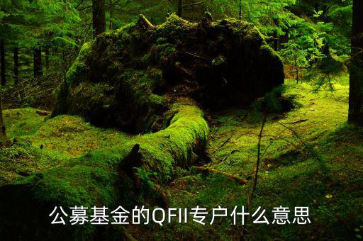 公募專戶是什么意思，什么是基金專戶