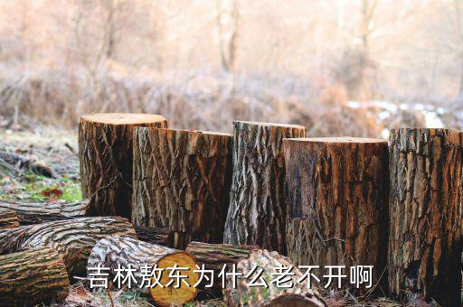 吉林敖東為什么不漲，吉林敖東為什么老不開(kāi)啊 停幾天啊
