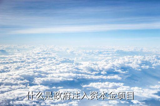什么是資本金注入，什么是政府注入資本金項目
