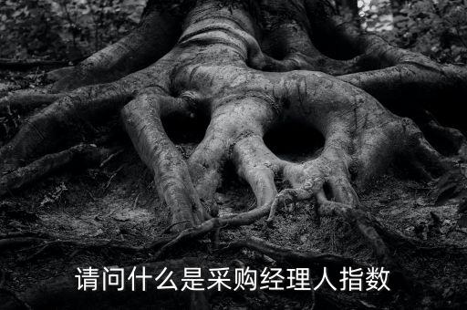 采購經(jīng)理人指數(shù)是什么，IVEY采購經(jīng)理人指數(shù)指的是什么