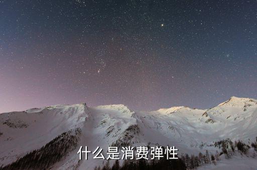 什么是消費彈性，什么是消費彈性