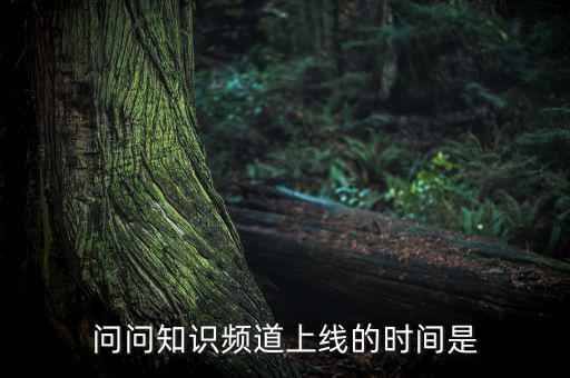 愛網(wǎng)貸平臺什么時(shí)候上線，問問知識頻道上線的時(shí)間是