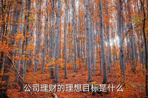 理財目標(biāo)是什么，公司理財?shù)睦硐肽繕?biāo)是什么