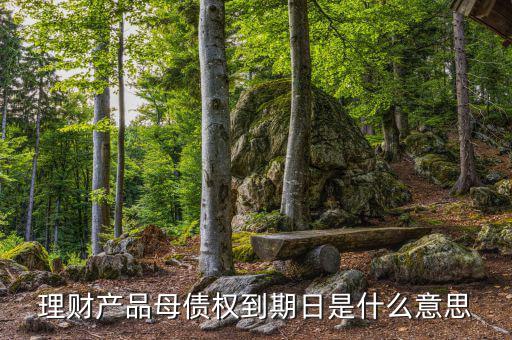 訂單債權(quán)到期什么意思，什么叫第三方到期債權(quán)
