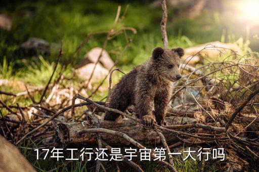 工行為什么叫宇宙行，大宇宙銀行指哪個(gè)銀行