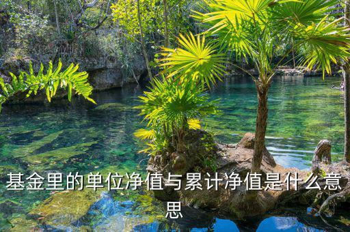 基金凈值和累計凈值是什么，基金里的單位凈值與累計凈值是什么意思