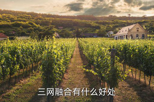 南寧廣電三網(wǎng)融合有什么用，三網(wǎng)融合有什么好處