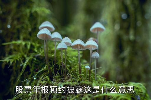 股票披露是什么意思，股票年報(bào)預(yù)約披露這是什么意思