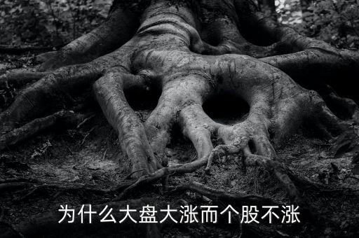 板塊都漲我的個(gè)股不長(zhǎng)什么原因，為什么大盤大漲而個(gè)股不漲