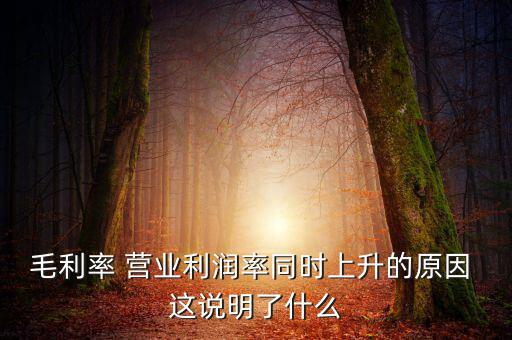 毛利率增長說明什么，增值稅毛利率的高低說明什么