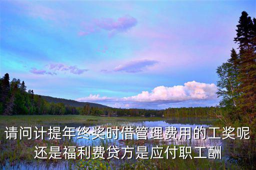 計(jì)提獎(jiǎng)金是什么意思，請(qǐng)問計(jì)提年終獎(jiǎng)時(shí)借管理費(fèi)用的工獎(jiǎng)呢還是福利費(fèi)貸方是應(yīng)付職工酬
