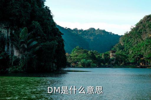 什么是dm理財，DM在國際金融里面是什么意思