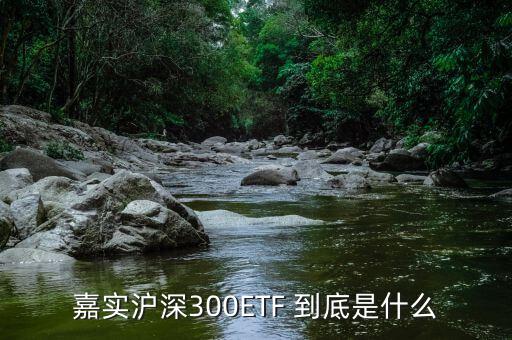 深證etf是什么，ETF 是什么意思