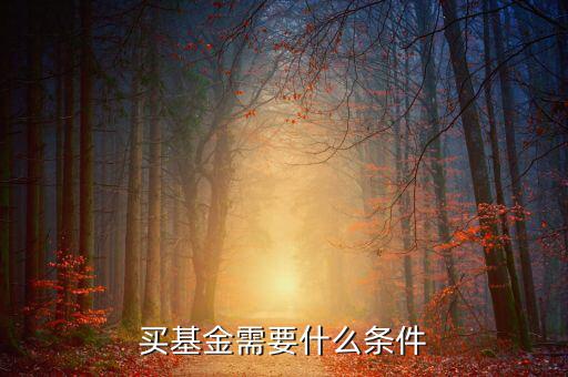 買基金有什么條件，買基金都需要什么條件啊