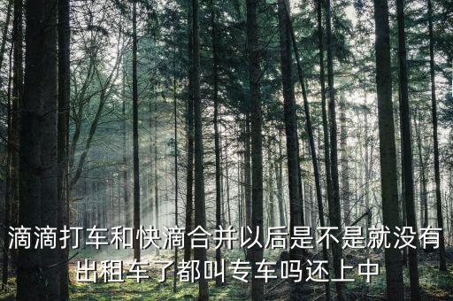 滴滴快滴合并叫什么，滴滴快的合并后叫什么