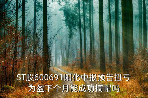 st陽化什么時(shí)候能摘帽，ST船舶什么時(shí)候可以摘帽