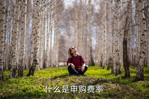 申購費率是什么，基金里面的購回費率和申購費率是什么意思啊舉個例子唄