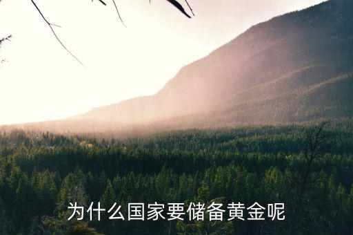 黃金為什么是儲(chǔ)備，國(guó)家為什么要儲(chǔ)備黃金不儲(chǔ)備鉑金鈀金這些也值錢啊為什么只