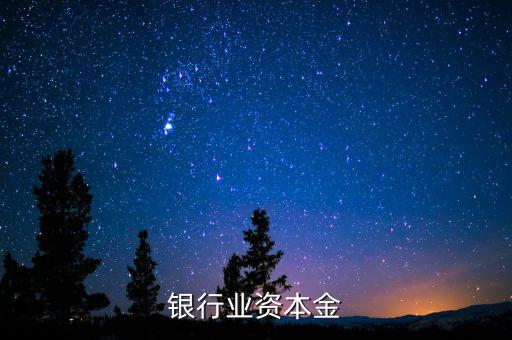 銀行資本金是什么，銀行業(yè)資本金
