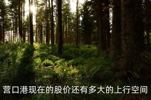 營口港為什么漲停，營口港股票怎么了