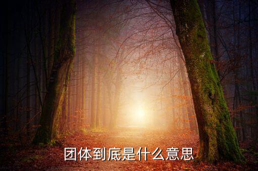 游說(shuō)團(tuán)體是什么，什么是團(tuán)體