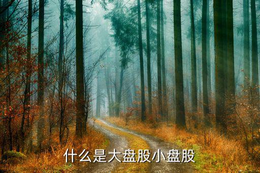 什么叫大盤股和小盤股，什么是大盤股小盤股