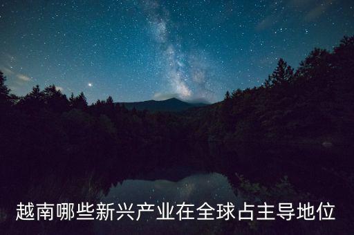 越南有什么制造業(yè)，越南哪些新興產(chǎn)業(yè)在全球占主導(dǎo)地位