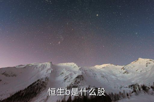 恒生b是什么股票，恒生b是什么股
