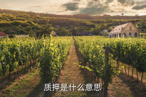 質(zhì)押是什么意思，股權(quán)質(zhì)押是什么意思 股東為什么要質(zhì)押股權(quán)
