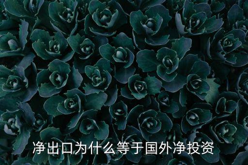 國外凈投資是什么，凈出口為什么等于國外凈投資