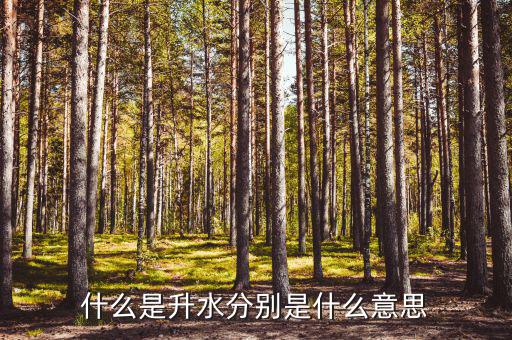 升水貼水是什么意思，期貨中的升貼水是什么含義