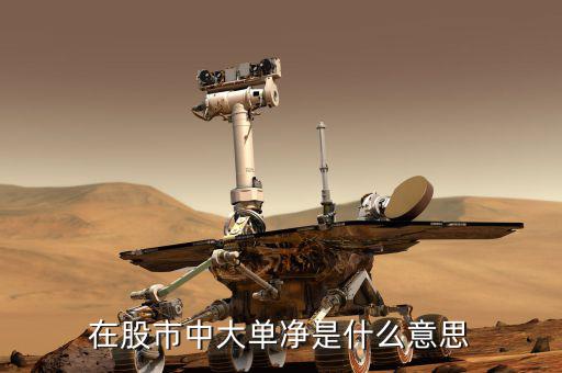 大單凈值什么意思，大單凈比是什么意思