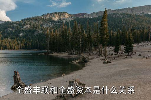 全盛資本什么背景，全盛資本是做什么的屬于哪個(gè)行業(yè)的