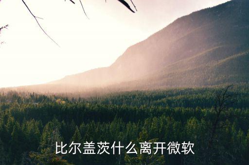 比爾蓋茨為什么退出微軟，比爾蓋茨什么離開微軟
