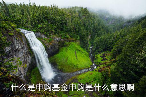 基金申購是什么，基金申購是個啥子意思