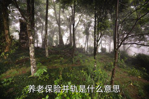什么是城鄉(xiāng)養(yǎng)老保險(xiǎn)并軌，養(yǎng)老保險(xiǎn)并軌是什么意思