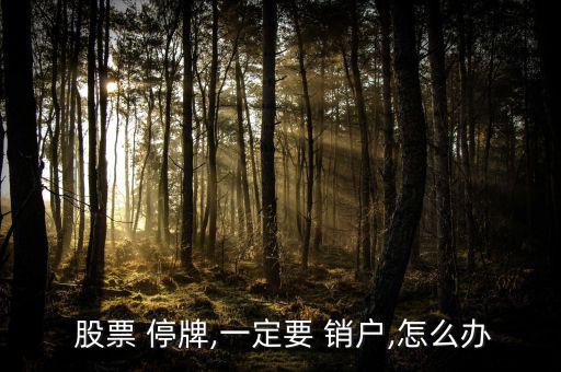 股票停牌怎么才能銷(xiāo)戶(hù),轉(zhuǎn)到新證券公司把股票賣(mài)掉留住客戶(hù)一招